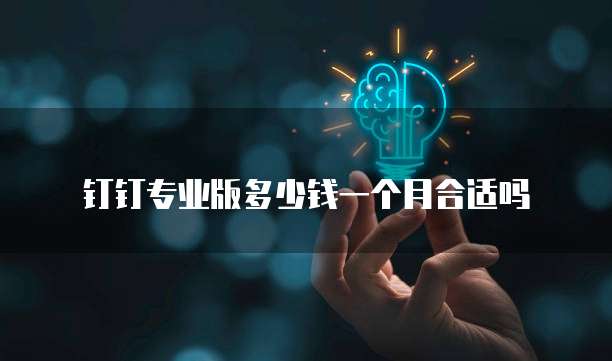 钉钉专业版多少钱一个月合适吗