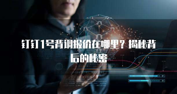 钉钉1号背调报价在哪里?揭秘背后的秘密