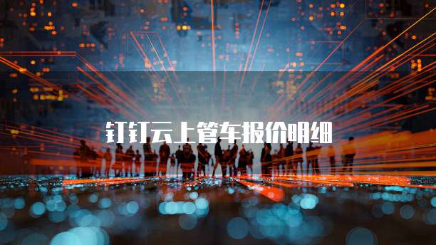 钉钉云上管车报价明细