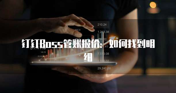 钉钉Boss管账报价:如何找到明细