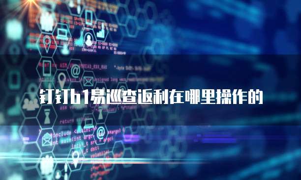 钉钉b1易巡查返利在哪里操作的
