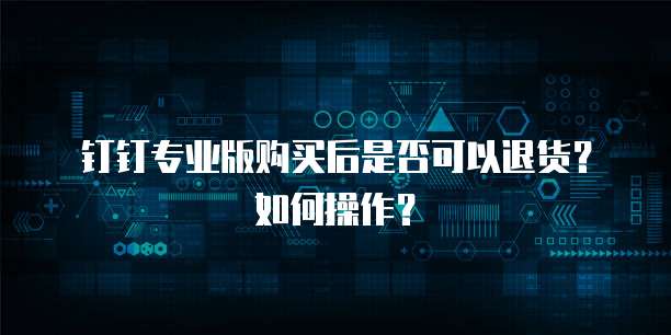 钉钉专业版购买后是否可以退货?如何操作?