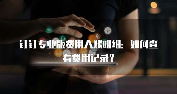 钉钉专业版费用入账明细:如何查看费用记录?