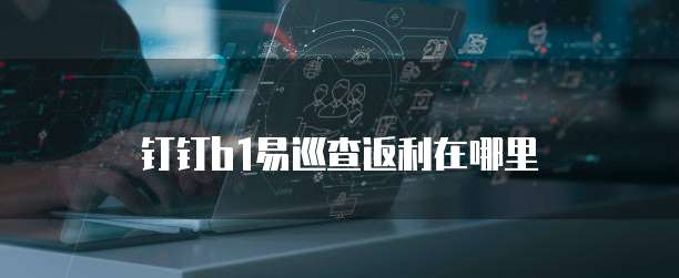 钉钉b1易巡查返利在哪里