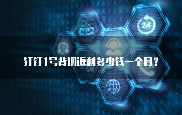 钉钉1号背调返利多少钱一个月？