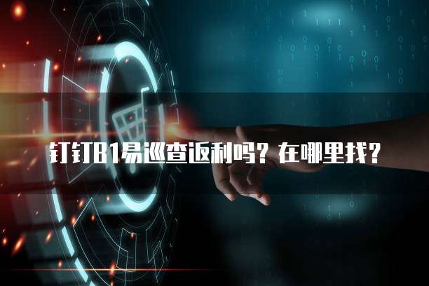 钉钉B1易巡查返利吗?在哪里找?