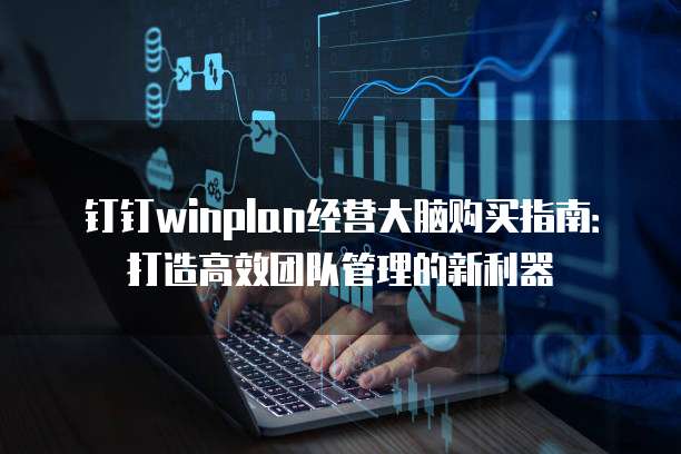 钉钉winplan经营大脑购买指南：打造高效团队管理的新利器