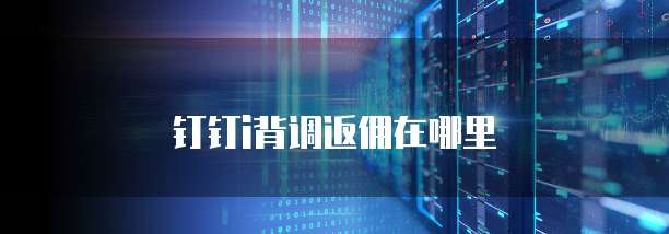 钉钉i背调返佣在哪里