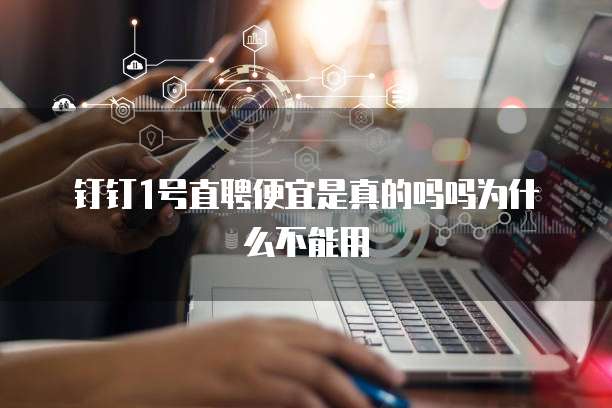 钉钉1号直聘便宜是真的吗吗为什么不能用