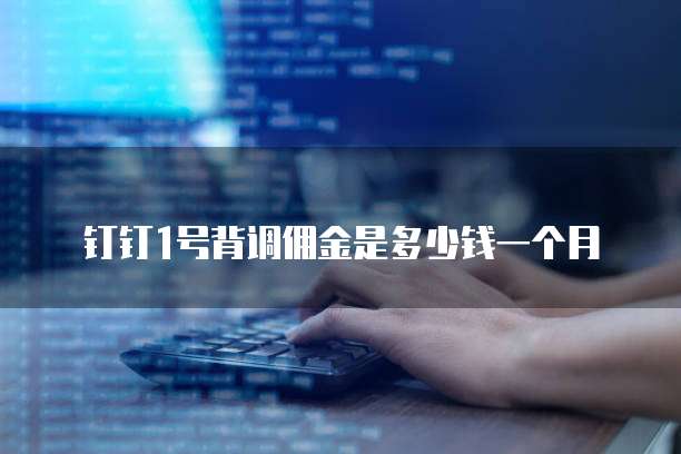 钉钉1号背调佣金是多少钱一个月