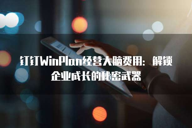 钉钉WinPlan经营大脑费用：解锁企业成长的秘密武器