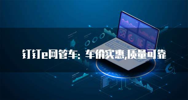 钉钉e网管车: 车价实惠,质量可靠