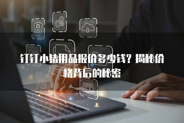 钉钉小猪用品报价多少钱?揭秘价格背后的秘密
