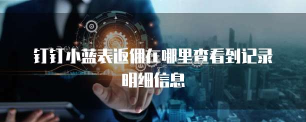 钉钉小蓝表返佣在哪里查看到记录明细信息