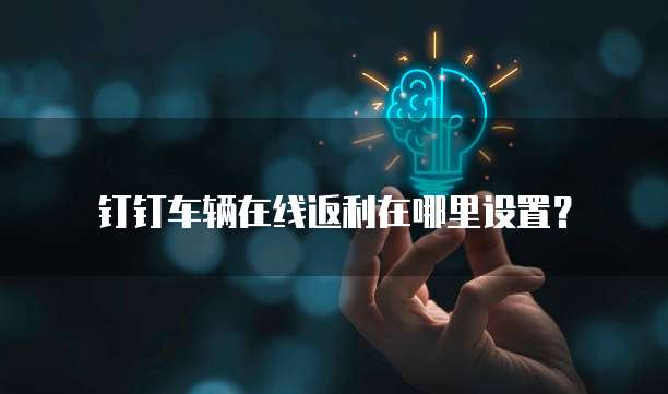 钉钉车辆在线返利在哪里设置？