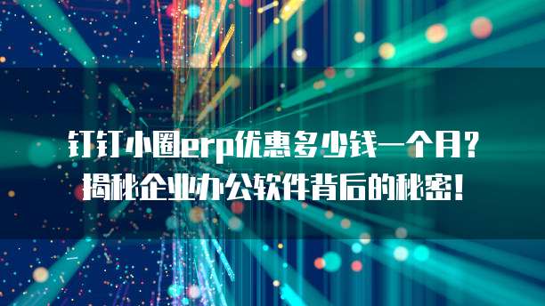 钉钉小圈erp优惠多少钱一个月?揭秘企业办公软件背后的秘密!