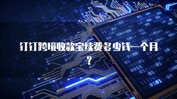 钉钉跨境收款宝续费多少钱一个月？