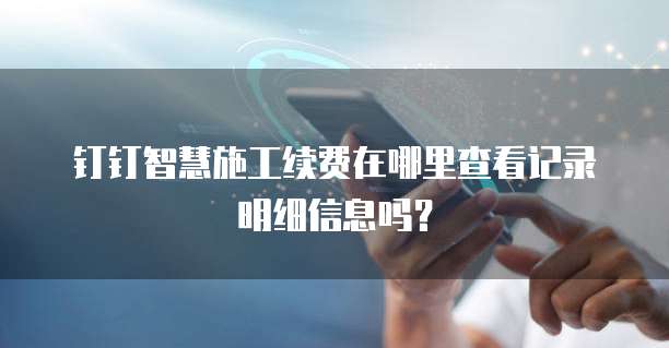 钉钉智慧施工续费在哪里查看记录明细信息吗？