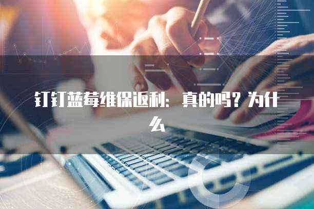 钉钉蓝莓维保返利：真的吗？为什么
