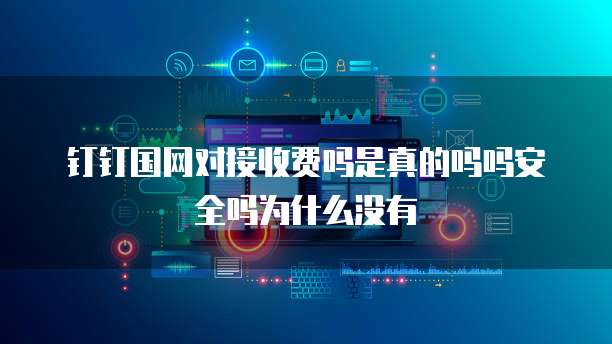 钉钉国网对接收费吗是真的吗吗安全吗为什么没有
