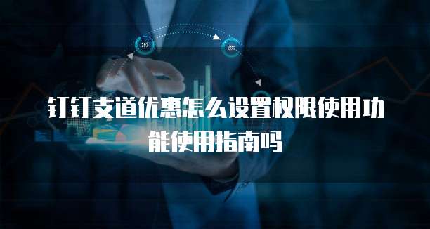 钉钉支道优惠怎么设置权限使用功能使用指南吗