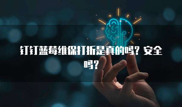 钉钉蓝莓维保打折是真的吗?安全吗?