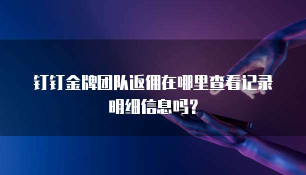 钉钉金牌团队返佣在哪里查看记录明细信息吗?