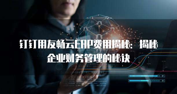 钉钉用友畅云ERP费用揭秘:揭秘企业财务管理的秘诀