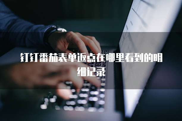 钉钉番茄表单返点在哪里看到的明细记录