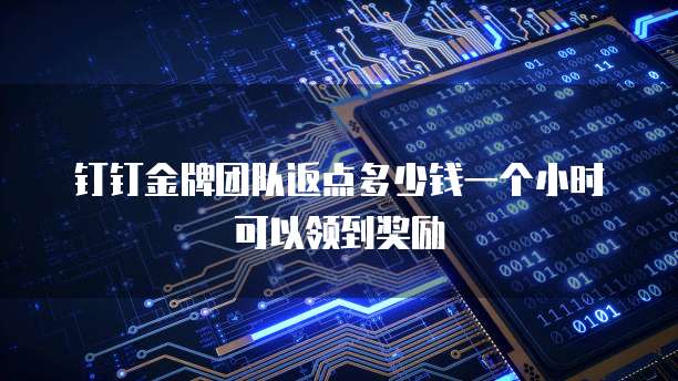 钉钉金牌团队返点多少钱一个小时可以领到奖励