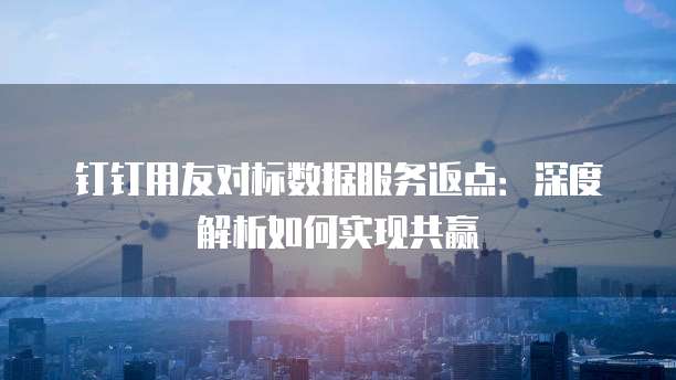 钉钉用友对标数据服务返点：深度解析如何实现共赢