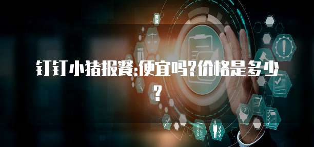 钉钉小猪报餐:便宜吗?价格是多少?