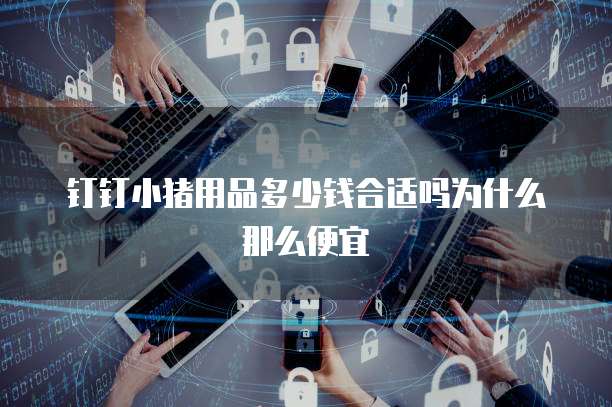 钉钉小猪用品多少钱合适吗为什么那么便宜