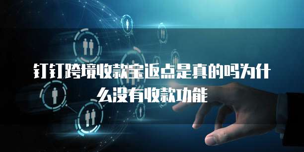钉钉跨境收款宝返点是真的吗为什么没有收款功能