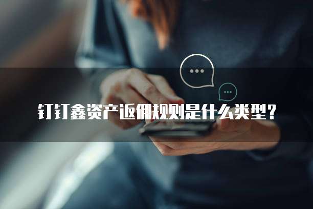 钉钉鑫资产返佣规则是什么类型?