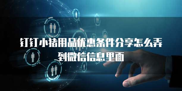 钉钉小猪用品优惠条件分享怎么弄到微信信息里面