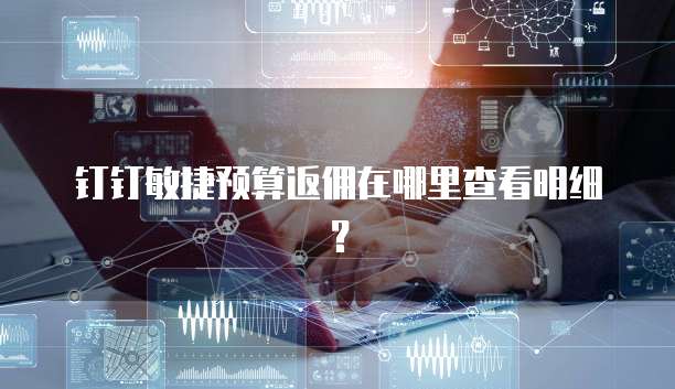 钉钉敏捷预算返佣在哪里查看明细？