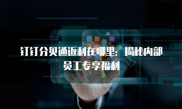 钉钉分贝通返利在哪里:揭秘内部员工专享福利