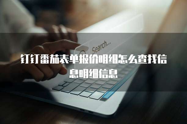 钉钉番茄表单报价明细怎么查找信息明细信息