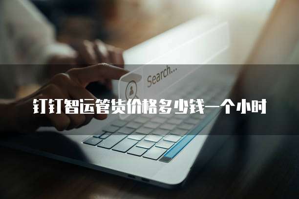 钉钉智运管货价格多少钱一个小时