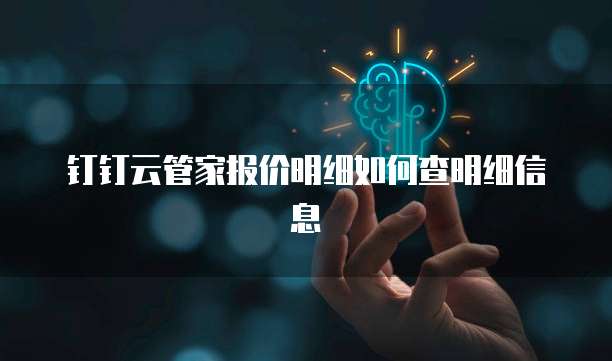 钉钉云管家报价明细如何查明细信息