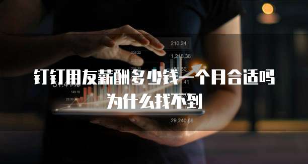 钉钉用友薪酬多少钱一个月合适吗为什么找不到