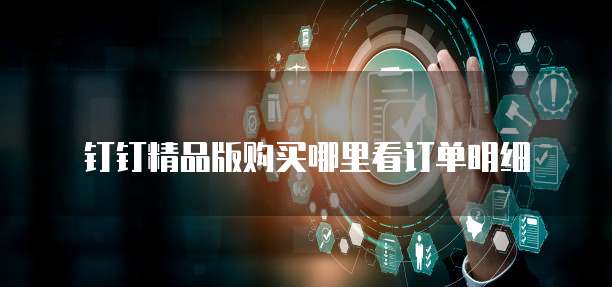 钉钉精品版购买哪里看订单明细