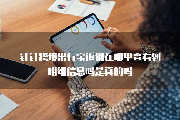 钉钉跨境出行宝返佣在哪里查看到明细信息吗是真的吗