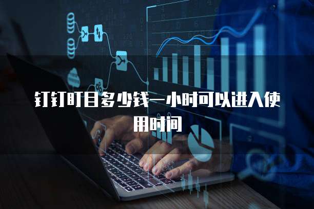 钉钉盯目多少钱一小时可以进入使用时间