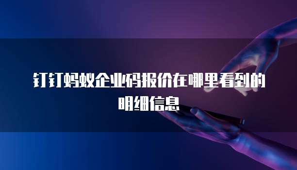 钉钉蚂蚁企业码报价在哪里看到的明细信息