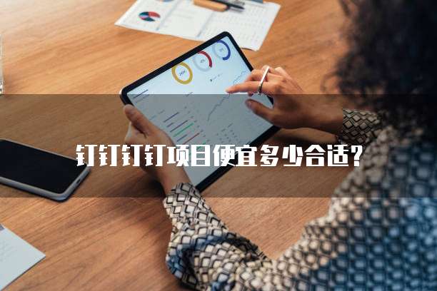 钉钉钉钉项目便宜多少合适？