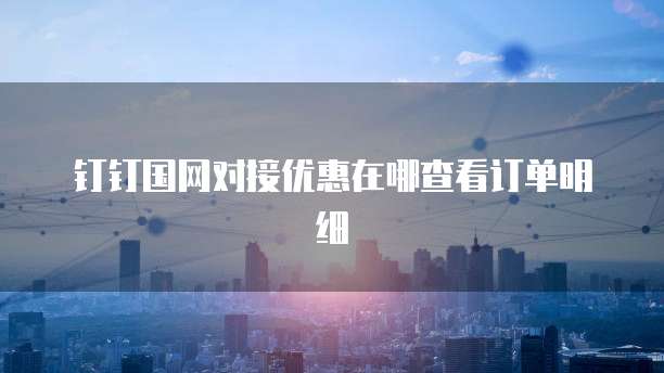 钉钉国网对接优惠在哪查看订单明细
