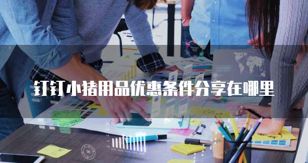 钉钉小猪用品优惠条件分享在哪里
