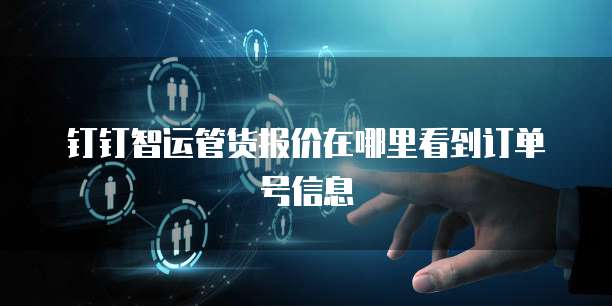 钉钉智运管货报价在哪里看到订单号信息